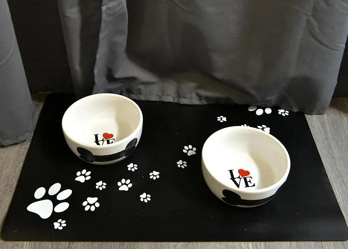 Bilocale Vicino Al Di Pet Friendly *