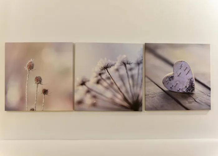 Διαμέρισμα Bilocale Vicino Al Di Pet Friendly