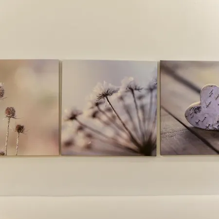 Appartamento Bilocale Vicino Al Di Pet Friendly